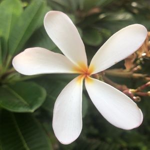 Meet your Posher, Ashleigh